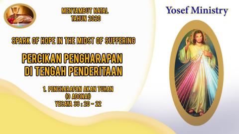 Spark Of Hope In The Midst Of Suffering 